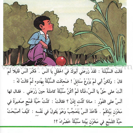 Arabic Graded Stories: Grade 4 (5 Books) مشروع المنهل التعليمي المستوى الرابع