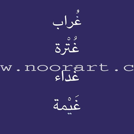 Alphabet Family Case: Part 2 (Activity Book , DVD, and 50 Flash Cards) عائلة الحروف