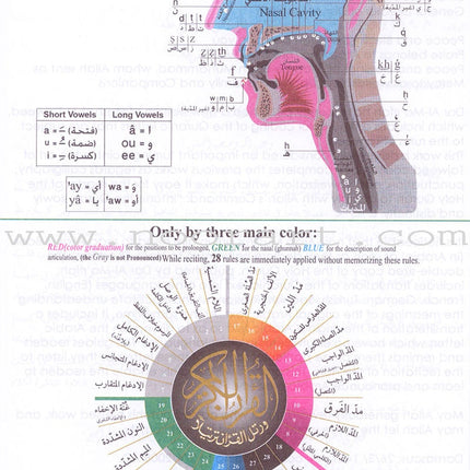 Tajweed Qur'an (Juz' Tabarak, With Meaning Translation in English and Transliteration) (7"x 9")