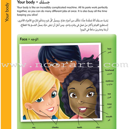 Oxford Children's Visual Dictionary English - Arabic