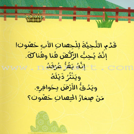 Push and Pull Series (Set of 4 Books) ادفَع واسحَب