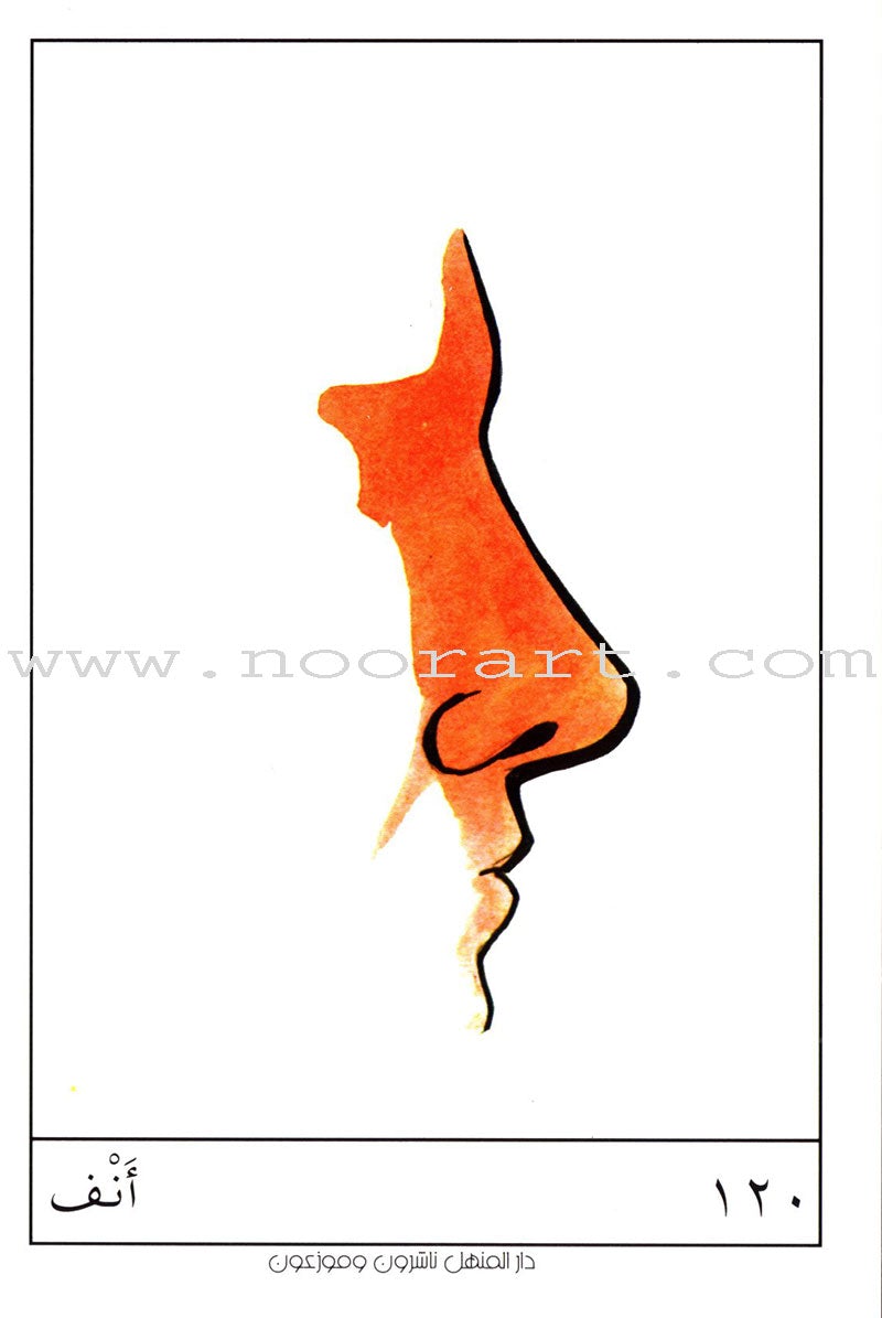 Educational Cards - Pictures Collection: Level 3