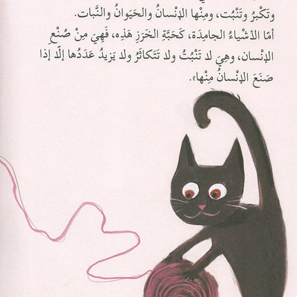 Human, Animal, Plant, Something إنسان، حيوان، نبات، شيء