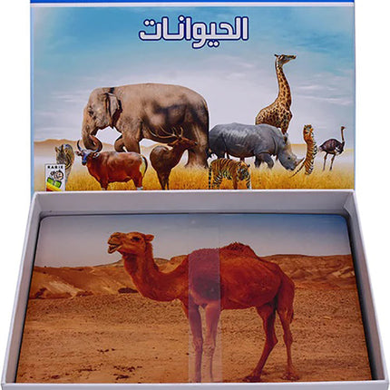 Animals Cards بطاقات الحيوانات