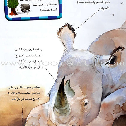 Learning Ladders (Set of 10 Books) سلالم التعلم