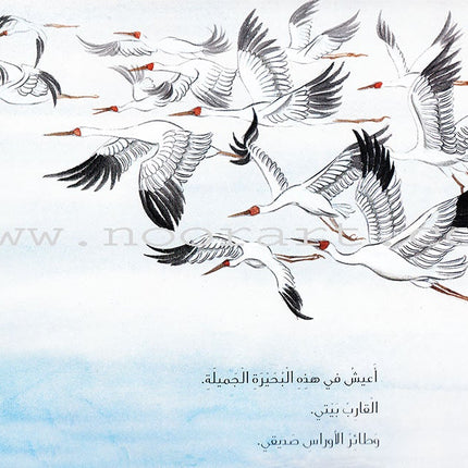 Aures Lake بحيرة الأوراس