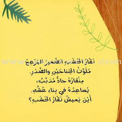 Push and Pull Series (Set of 4 Books) ادفَع واسحَب