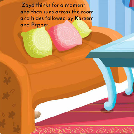 Zaydo Potato: Can Allah See Me Now? (Hardcover)