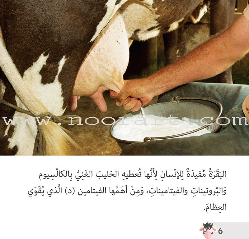 Let's Read and Discover Series (set of 5 books) سلسلة  هيا نقرأ ونكتشف