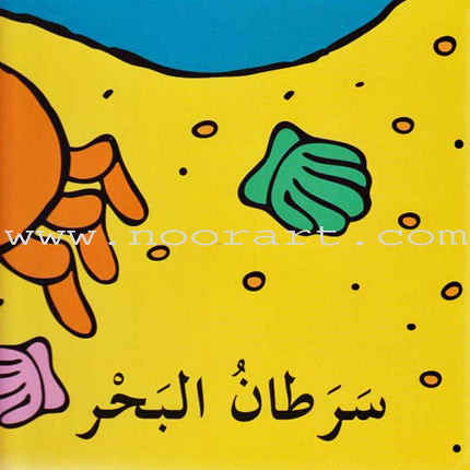 New and Useful Series (set of 4 Books) كتب جديدة مفيدة