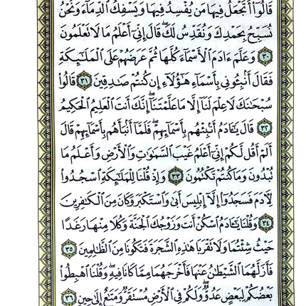 The Holy Qur'an Thermo - (9.8" X 13.5")