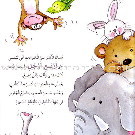 What Do You Know About? (6 Books) ماذا تعرف عن؟