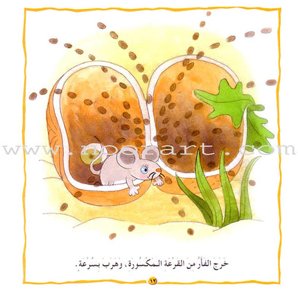 Nady Al Qira'ah - The Reading Club - Beginning Reading: Part 2 (7 Books) نادي القراءة بداية القراءة