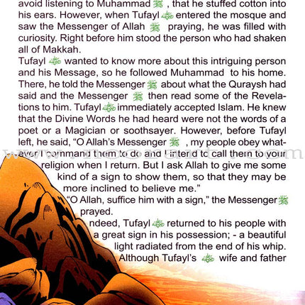 The Biography of the Noble Prophet (PBH) series (20 books)