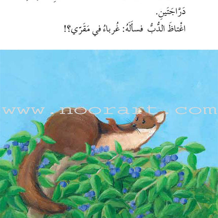 Graded Reading Series - Purple Group: Level 8 (set of 5 Books) سلسلة القراءة المتدرجة مجموعة اللون البنفسجي