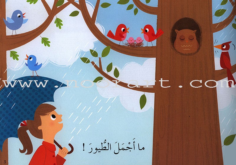 Learning Reading - Group 1 (12 Books, with Audio CD) تعلم القراءة