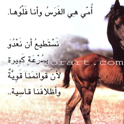 Baby Animal Series (8 Books) سلسلة صغار الحيوانات