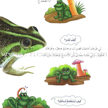 My First Questions and Answers Series سلسلة أسئلتي وأجوبتي الأولى