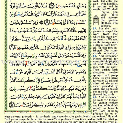 Tajweed Qur'an (Whole Qur'an with Meaning Translation in English) - Colors May Vary مصحف التجويد