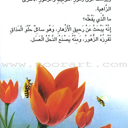 The Reader's Club: Level 3 (18 Books) نادي القراء - المستوى الثالث