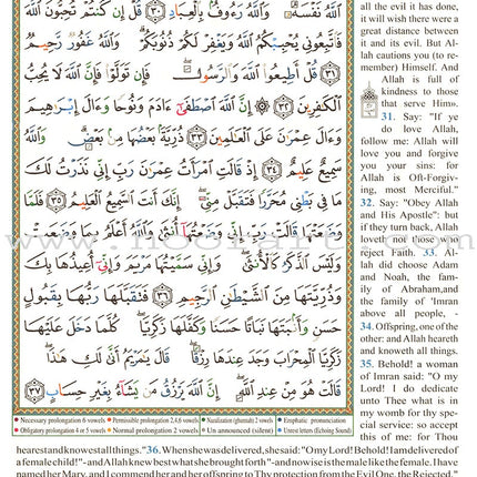 Tajweed Quran With English Translation & Transliteration In 30 Parts (Colors May Vary)