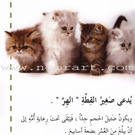 Useful Reading Series - Baby Animals - Level A1 القراءة المفيدة - صغار الحيوانات