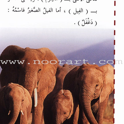 Useful Reading Series - Elephants - Level A2 القراءة المفيدة  - الفيلة