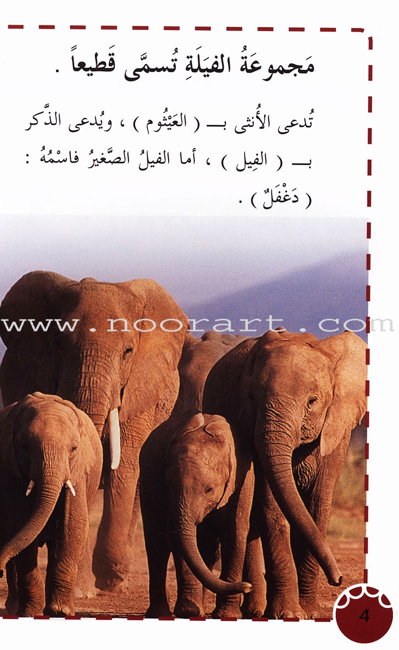 Useful Reading Series - Elephants - Level A2 القراءة المفيدة  - الفيلة