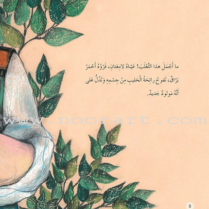 Forest Animals Series (set of 10 Books) سلسلة حيوانات الغابة