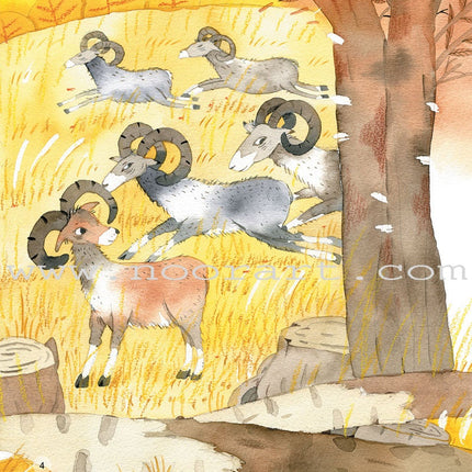 Forest Animals Series (set of 10 Books) سلسلة حيوانات الغابة