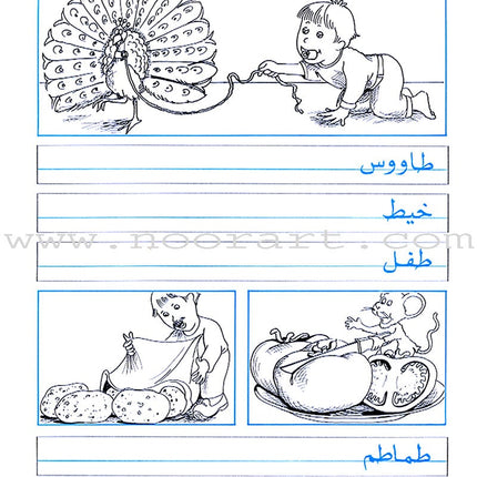 My Exciting Fonts - Al Naskh Font: Volume 3 خطوطي المشوقة خط النسخ