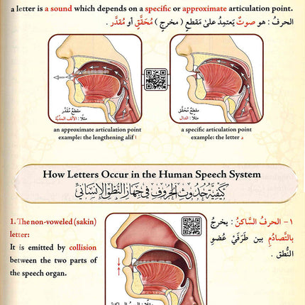 Illustrated Tajweed التجويد المصور