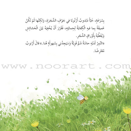 Bedtime Stories (Set of 5 Books) قصص قبل النوم