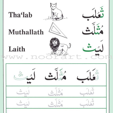 Shape and Forms of Arabic Letters أشكال الحروف العربية