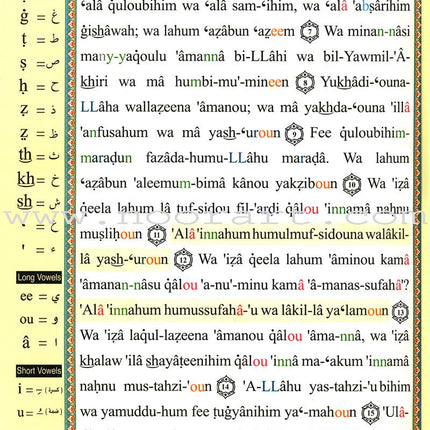 Tajweed Qur'an (Whole Qur’an, With Meaning Translation and Transliteration in English) (7"x9") مصحف التجويد