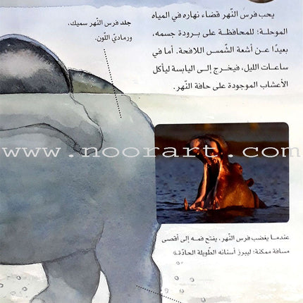 Learning Ladders (Set of 10 Books) سلالم التعلم