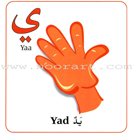 My Arabic Alphabet Book The Language of the Quran