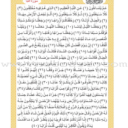 The Little Reader (with CD) القارىء الصغير