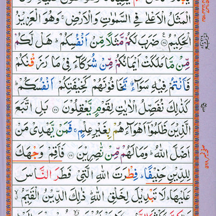 Holy Qur'an with Color-Coded Tajweed Rules - Majeedi Script, 13 Lines (Cover May Vary)