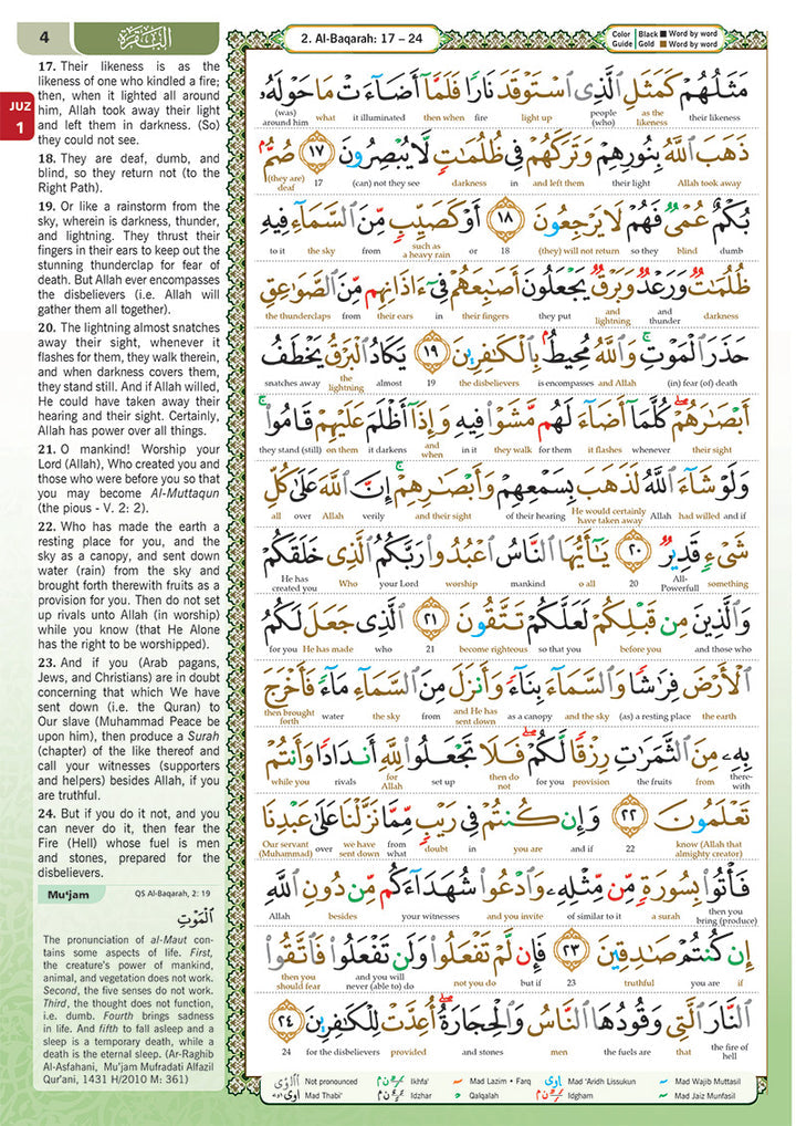 Al-Quran Al-Karim The Noble Quran (Colors May Vary) Large Size A4 (8.3” x 11.7")|Maqdis Quran