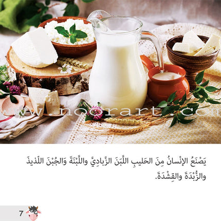 Let's Read and Discover Series (set of 5 books) سلسلة  هيا نقرأ ونكتشف