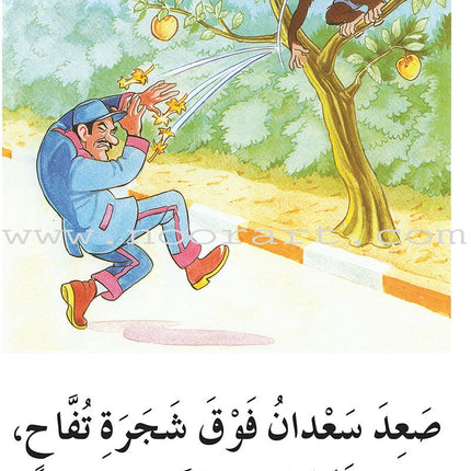 Reading Program in the Arabic Language: Level 2 (Set of 12 Books) برنامج القراءة في اللغة العربية