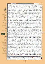 Tajweed Quran Velvet and Golden/Silver Panel (Hafs Narration)