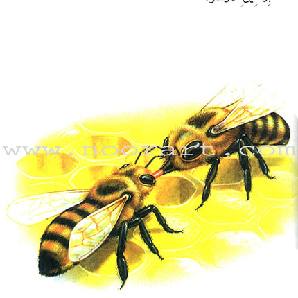 The Reader's Club: Level 3 (18 Books) نادي القراء - المستوى الثالث