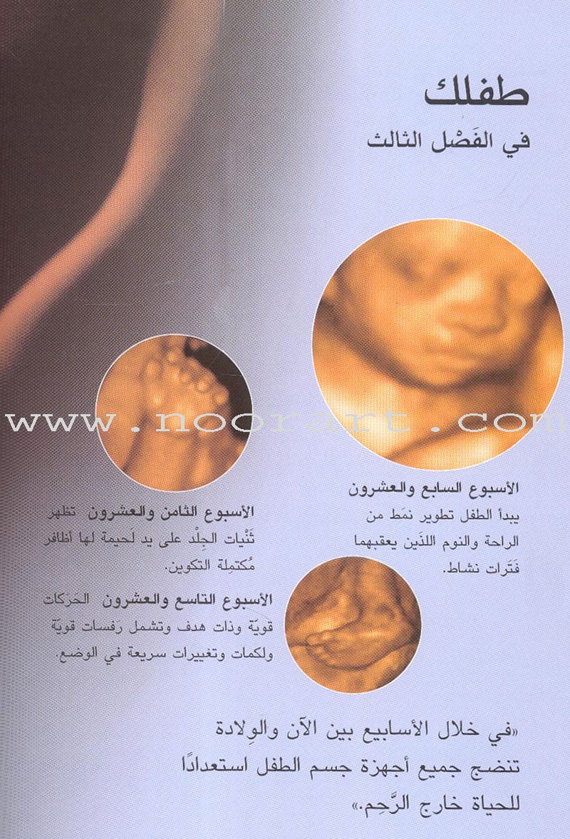 Your Pregnancy Week by Week حملك أسبوعاً فأسبوعاً