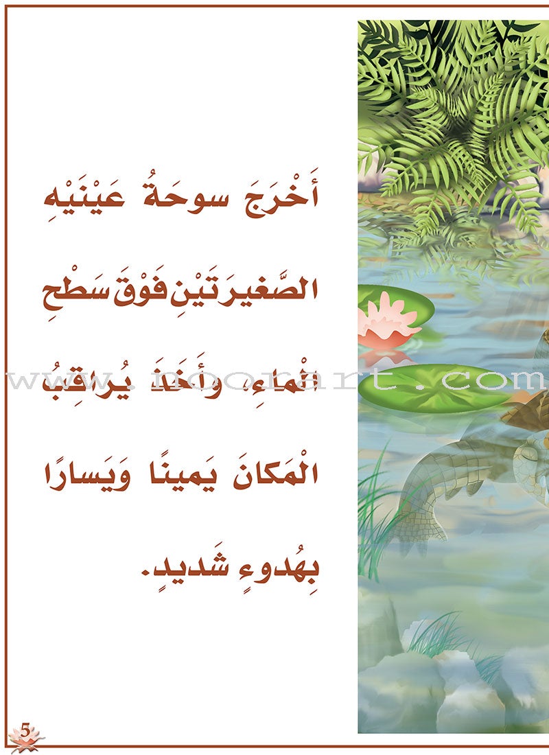 Reading Program in the Arabic Language: Level 3 (Set of 12 books) برنامج القراءة في اللغة العربية