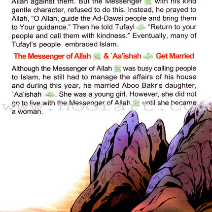 The Biography of the Noble Prophet (PBH) series (20 books)