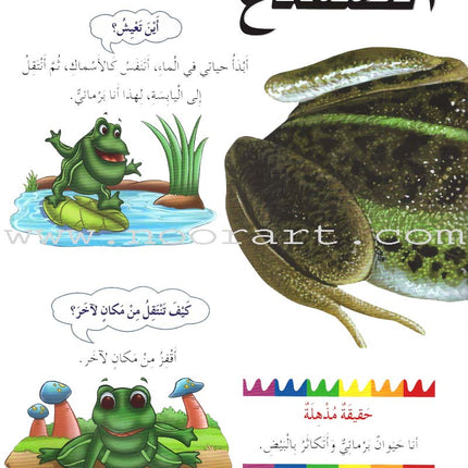 My First Questions and Answers Series سلسلة أسئلتي وأجوبتي الأولى