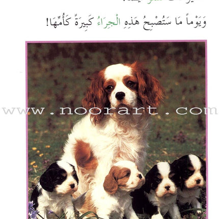 Read About Series (8 Books) سلسلة اقرأ عن