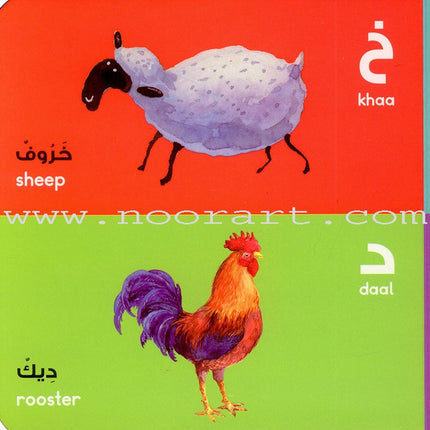 The Arabic Letters Board Book  الحروف العربية